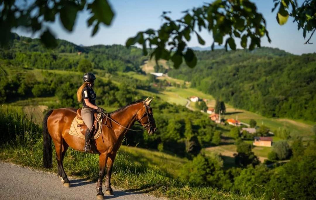Kuca Za Odmor Freya Βίλα Krapinske Toplice Εξωτερικό φωτογραφία
